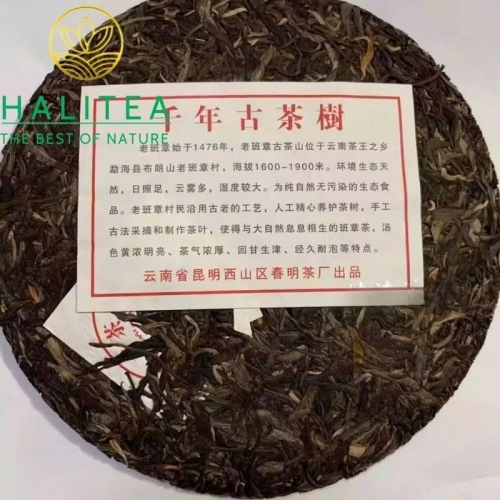 Trà Phổ Nhĩ Sống Lão Ban Chương Hữu Cơ 2004 Đại Bạch Thái – Bánh 357g