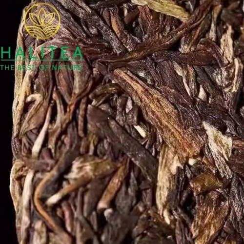 Trà Phổ Nhĩ Sống Lão Ban Chương Hữu Cơ 2008 – Bánh 357g