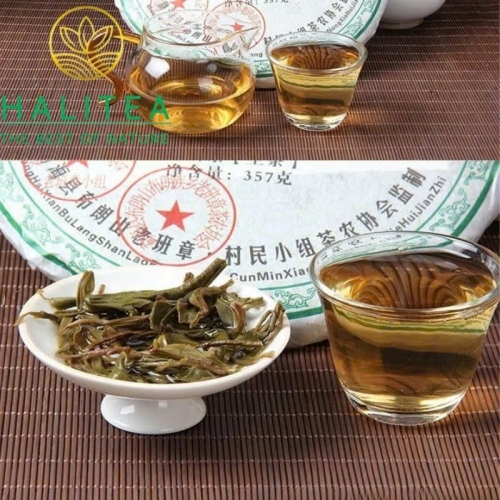 Trà Phổ Nhĩ Sống Lão Ban Chương San Pa 2008 – Bánh 357g