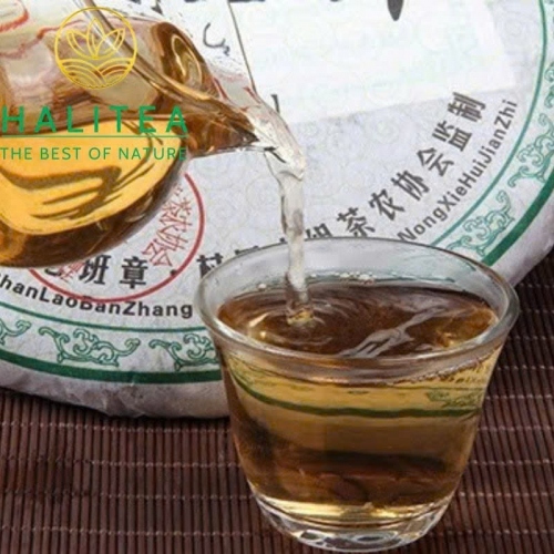 Trà Phổ Nhĩ Sống Lão Ban Chương San Pa 2008 – Bánh 357g