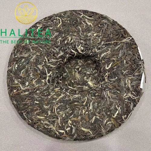 Trà Phổ Nhĩ Sống (Lao Tong Zhi – 9948) Lão Đồng Chí 2023 – Bánh 357g