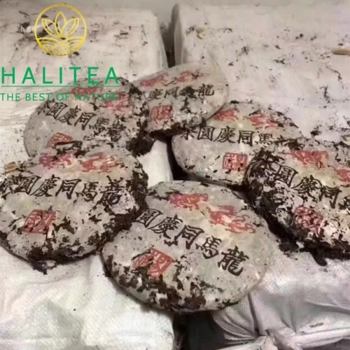 Trà Phổ Nhĩ Sống Long Mã Đồng Khánh 1970s – Bánh 357g