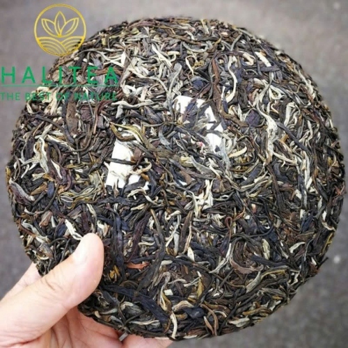 Trà Phổ Nhĩ Sống (Long Yuan Hao) Long Nguyên Hào 2018 – Bánh 380g