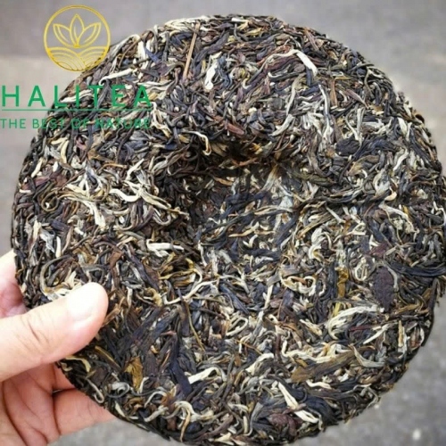 Trà Phổ Nhĩ Sống (Long Yuan Hao) Long Nguyên Hào 2018 – Bánh 380g