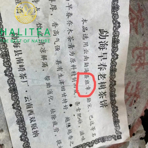 Trà Phổ Nhĩ Sống Mãnh Hải Tảo Xuân Lão Thụ 2005 – Nam Kiều 357g