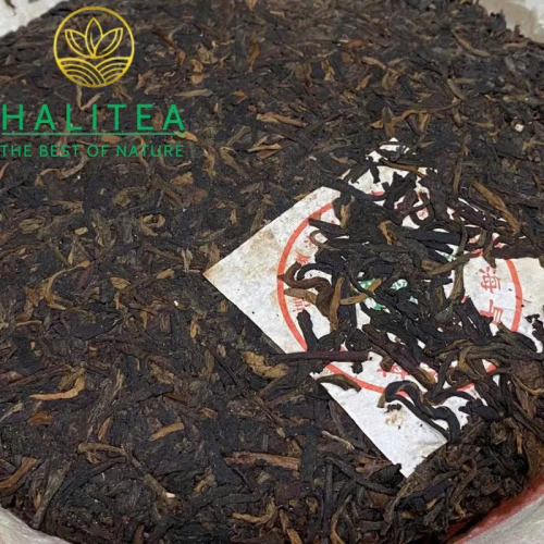 Trà Phổ Nhĩ Sống Mãnh Hải Tảo Xuân Lão Thụ 2005 – Nam Kiều 357g