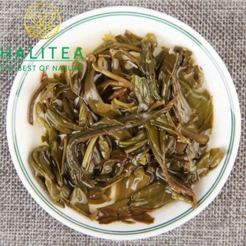 Trà Phổ Nhĩ Sống Ống Tre 2017 Mộc Chỉ Cổ Thụ Mãnh Hải - Ống 500g