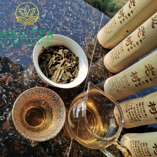 Trà Phổ Nhĩ Sống Ống Tre Cảnh Mại (Jingmai) Năm 2021 – Ống 200g