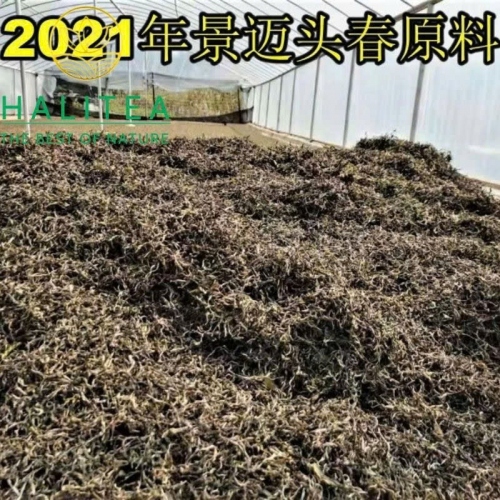 Trà Phổ Nhĩ Sống Ống Tre Cảnh Mại (Jingmai) Năm 2021 – Ống 200g