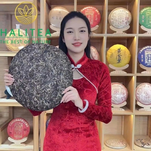Trà Phổ Nhĩ Sống (Song Pin Hao) 2015 Phiên Bản Cống Trà – Bánh 3000g