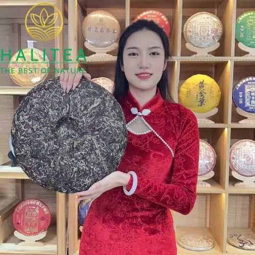 Trà Phổ Nhĩ Sống (Song Pin Hao) 2015 Phiên Bản Cống Trà – Bánh 3000g