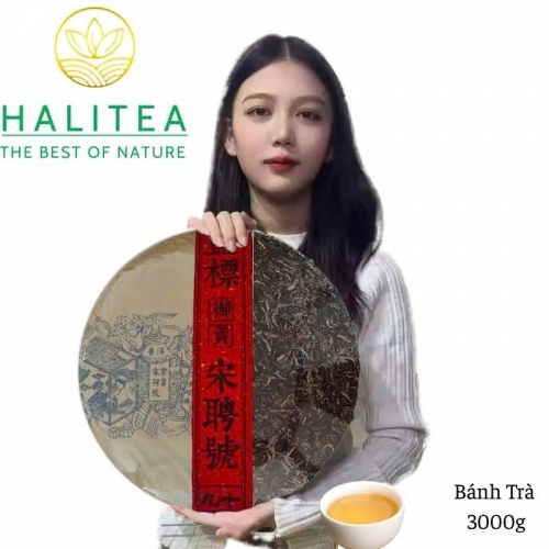 Trà Phổ Nhĩ Sống (Song Pin Hao) 2015 Phiên Bản Cống Trà – Bánh 3000g