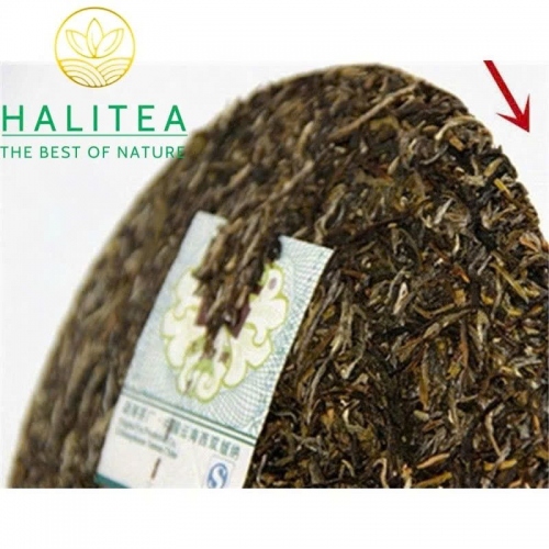 Trà Phổ Nhĩ Sống TAETEA Đại Ích (Dayi – 7542) 2010 – Bánh 357gr