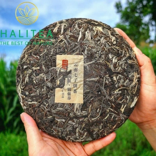 Trà Phổ Nhĩ Sống Tây Song Bản Nạp Trung Hoành Ấn Xanh - Bánh 357g