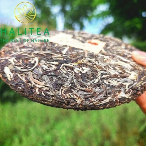 Trà Phổ Nhĩ Sống Tây Song Bản Nạp Trung Hoành Ấn Xanh - Bánh 357g