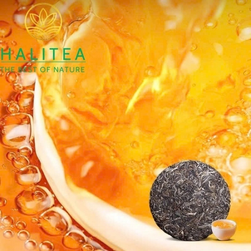 Trà Phổ Nhĩ Sống Thiên Vũ Khổng Tước Tây Song Bản Nạp – Bánh 357g