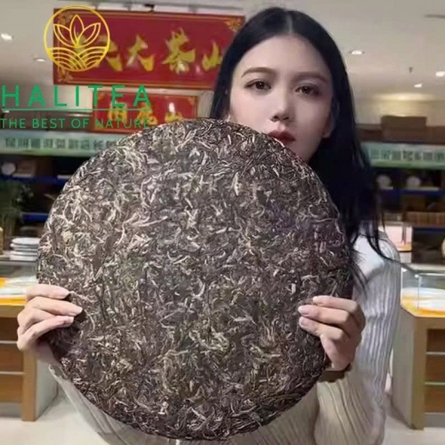 Trà Phổ Nhĩ Sống (Tong Qing Hao) Song Sư Đồng Khánh 2015 Phiên Bản Cống Trà – Bánh 3000g