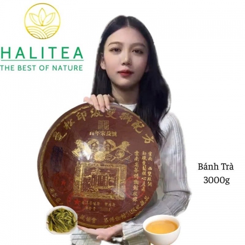 Trà Phổ Nhĩ Sống (Tong Qing Hao) Song Sư Đồng Khánh 2015 Phiên Bản Cống Trà – Bánh 3000g