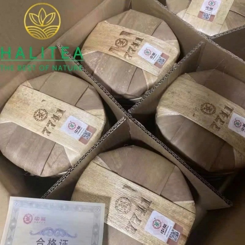 Trà Phổ Nhĩ Sống Trung Trà 7741 (Zhongcha) 2024 Bản Chuẩn Vị Lâm Thương – Bánh 357g