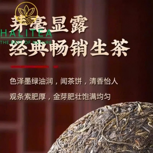 Trà Phổ Nhĩ Sống Trung Trà 7861 (Zhongcha) 2024 Bản Kinh Điển Mãnh Hải – Bánh 357g