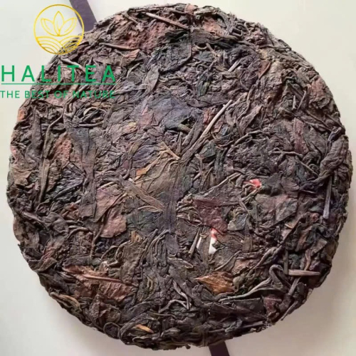 Trà Phổ Nhĩ Sống Trung Trà Dã Sinh Kiều Mộc Mãnh Hải 1998 – Lục Ấn 357g