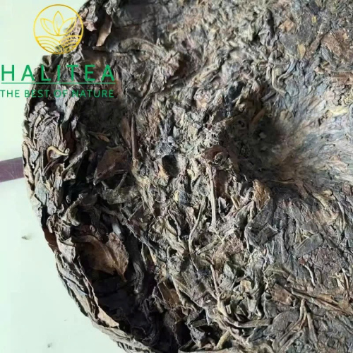 Trà Phổ Nhĩ Sống Trung Trà Dã Sinh Kiều Mộc Mãnh Hải 1998 – Lục Ấn 357g