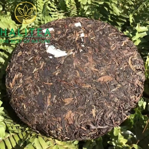 Trà Phổ Nhĩ Sống Trung Trà Lam Ấn 1990s (Zhongcha Blue Label) – Bánh 357g