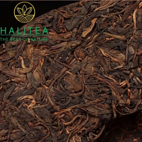 Trà Phổ Nhĩ Sống Trung Trà (Zhongcha) 2007 Dị Võ Lục Đại Thụ – Bánh 380g