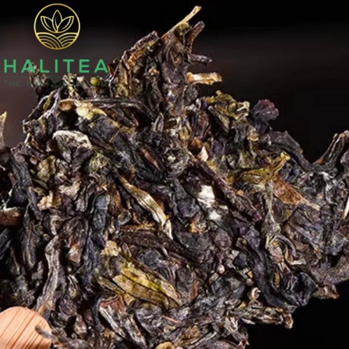 Trà Phổ Nhĩ Sống Tuocha Hạ Quan Vân Nam 100gr