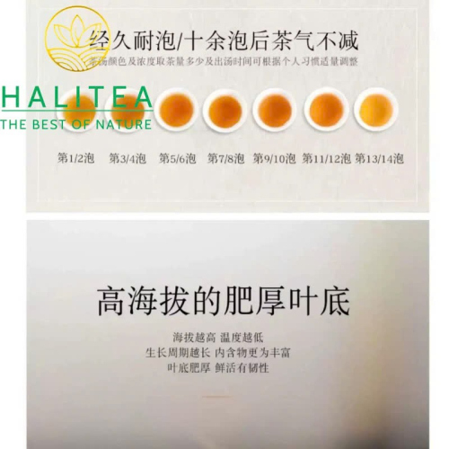 Trà Phục Gạch Kim Hoa An Hóa 2015 – Kim Hoa Phục Trà 318g