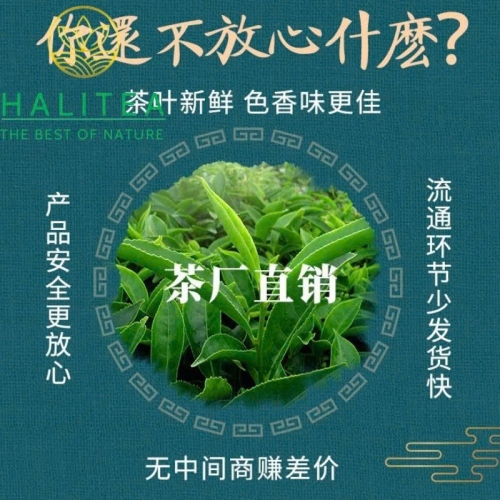 Trà Quân Sơn Ngân Châm - Hộp Thiếc 51gr