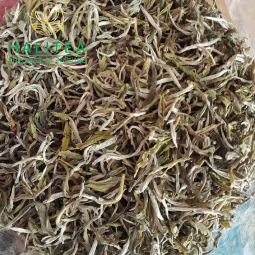Trà Shan Tuyết Cổ Thụ Tà Xùa Thôn Mống Vàng Túi Zip 200gr