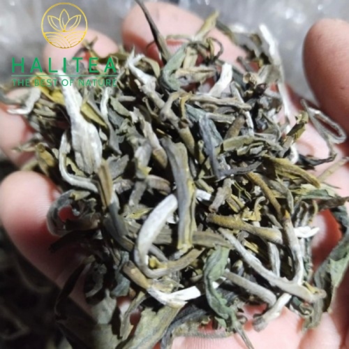Trà Shan Tuyết Cổ Thụ Tây Côn Lĩnh Loại Cao Cấp Túi Zipper 200Gg