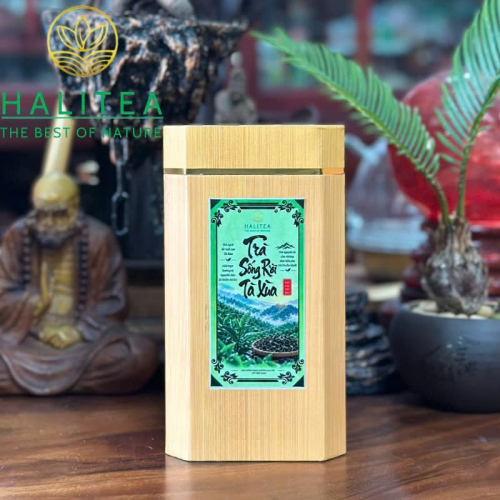 Trà Sống Rời Tà Xùa – Shan Tuyết Cổ Thụ Sơn La Hộp 100g