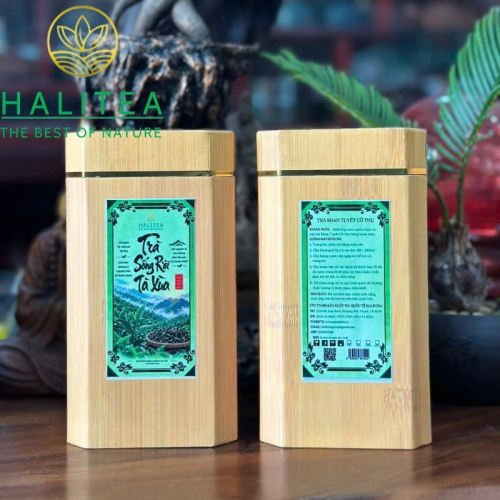 Trà Sống Rời Tà Xùa – Shan Tuyết Cổ Thụ Sơn La Hộp 100g