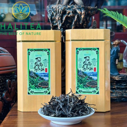 Trà Sống Rời Tây Côn Lĩnh – Shan Tuyết Cổ Thụ Hộp 100g