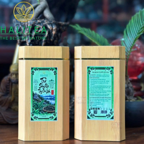 Trà Sống Rời Tây Côn Lĩnh – Shan Tuyết Cổ Thụ Hộp 100g