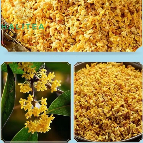 Trà Thiết Quan Âm Quế Hoa Phúc Kiến Hộp Thiếc 250Gr - Olong Osmanthus