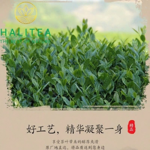 Trà Thủy Tiên (Wuyi Shui Xian) Nham Trà Vũ Di Than Hỏa Sơn Phúc Kiến – Hộp 230g