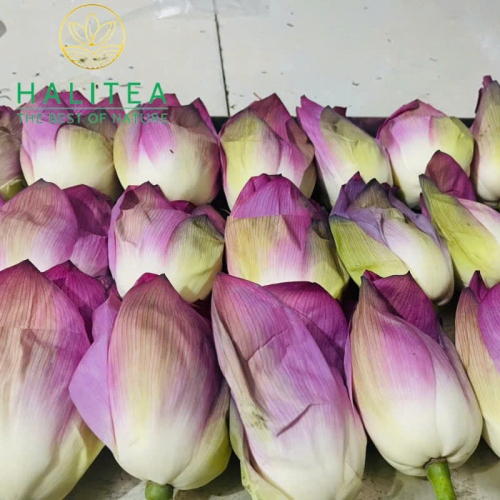 Trà Ướp Sen Tây Hồ Sấy Thăng Hoa Hộp Quà Tặng Tre Cao Cấp