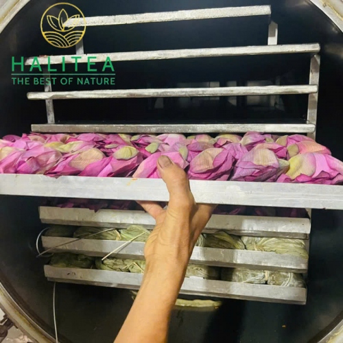 Trà Ướp Sen Tây Hồ Sấy Thăng Hoa Hộp Quà Tặng Tre Cao Cấp