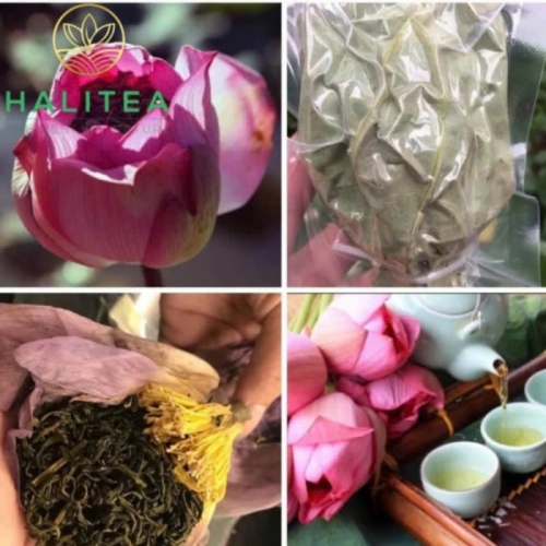 Trà Ướp Sen Tây Hồ Sấy Thăng Hoa Hộp Quà Tặng Tre Cao Cấp
