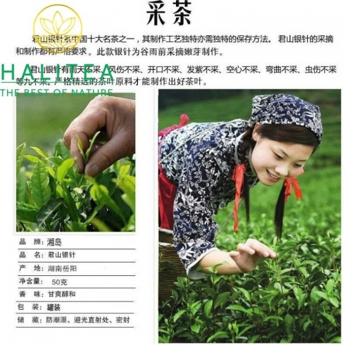 Trà Vàng Quân Sơn Ngân Châm – Hộp Thiếc 50g