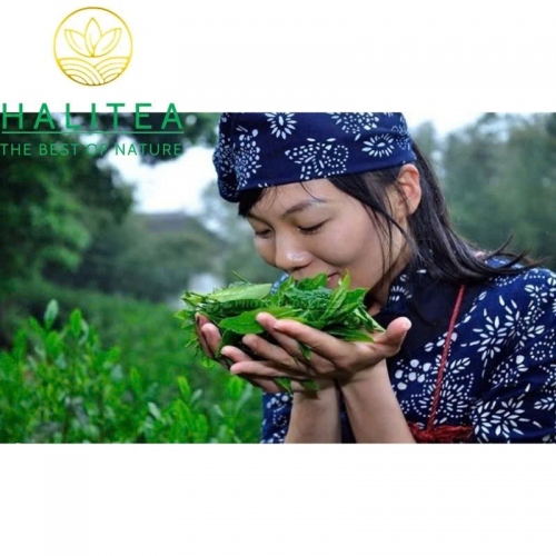 Trà Vàng Quân Sơn Ngân Châm – Hộp Thiếc 50g