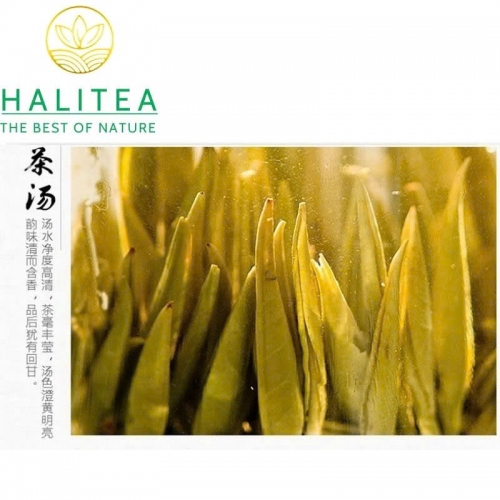 Trà Vàng Quân Sơn Ngân Châm – Hộp Thiếc 50g