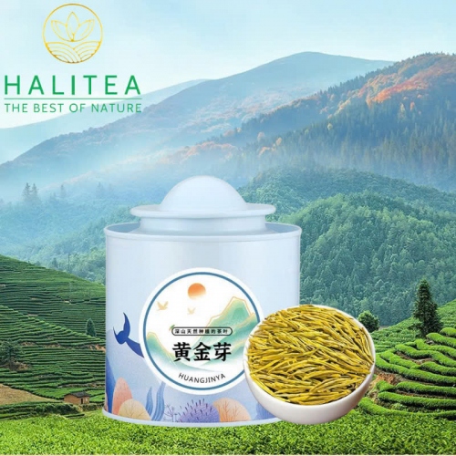 Trà Xanh Hoàng Kim Nha Chiết Giang Hộp Thiếc 100gr