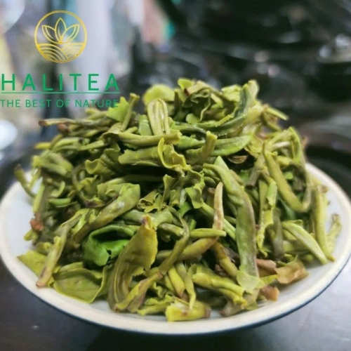 Lục Trà Shan Tuyết Cổ Thụ Đặc Cấp Tà Xùa – Hộp Hũ Sứ Cao Cấp HALITEA