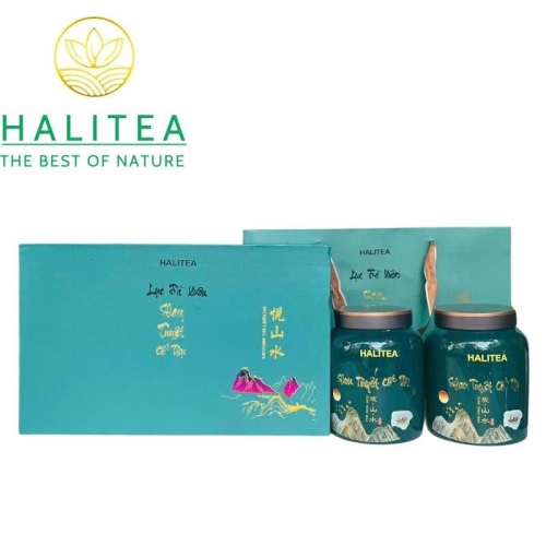 Lục Trà Shan Tuyết Cổ Thụ Đặc Cấp Tà Xùa – Hộp Hũ Sứ Cao Cấp HALITEA