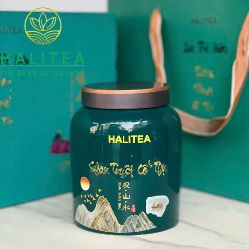 Lục Trà Shan Tuyết Cổ Thụ Đặc Cấp Tà Xùa – Hộp Hũ Sứ Cao Cấp HALITEA