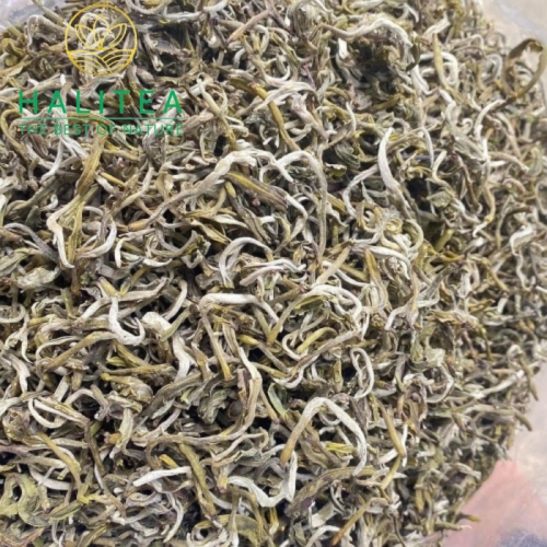 Lục Trà Shan Tuyết Cổ Thụ Đặc Cấp Tà Xùa – Hộp Hũ Sứ Cao Cấp HALITEA